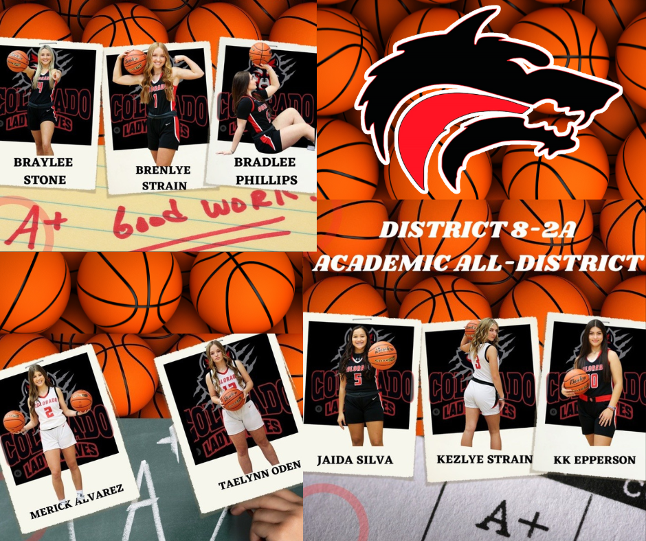 Academic All-District