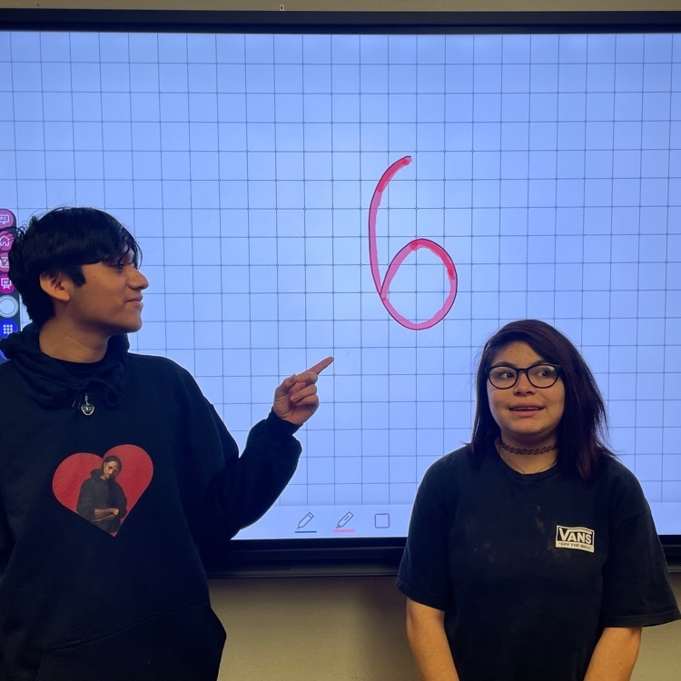 6